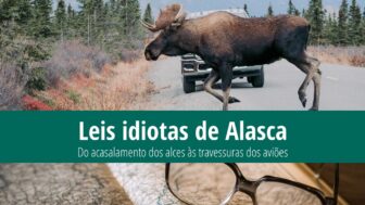 Leis idiotas de Alasca – É proibido servir álcool aos alces