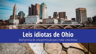 Leis idiotas de Ohio – Matar uma mosca requer uma licença