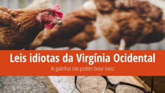 Leis idiotas da Virgínia Ocidental – As galinhas não põem ovos