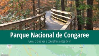 Parque Nacional de Congaree – o que ver, guia, clima e fotos