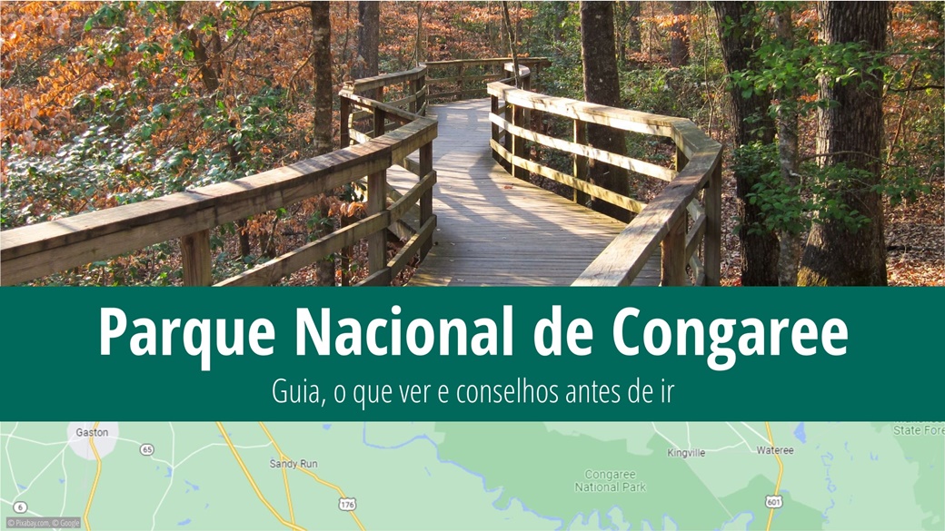 Parque Nacional de Congaree | © Miguel Vieira