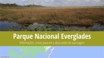 Parque Nacional Everglades – guia de viagem, o que ver e clima