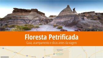 Parque Nacional da Floresta Petrificada – o que ver, clima, fotos