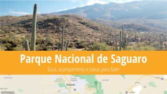 Parque Nacional de Saguaro – o que ver, guia de viagem, clima